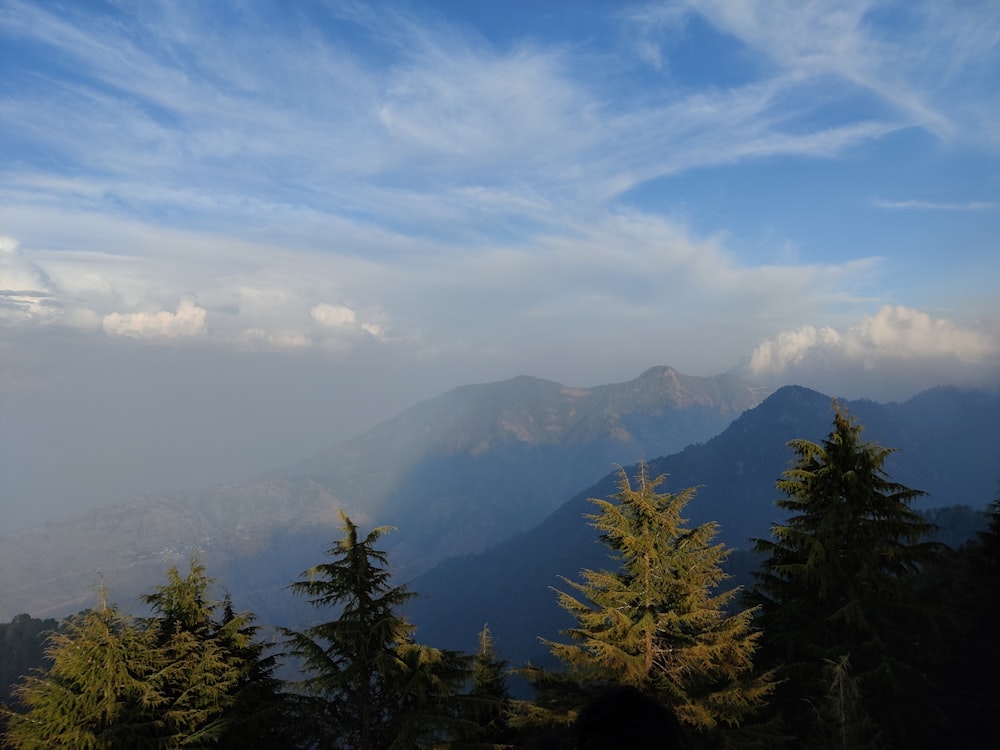 árboles verdes en la montaña bajo nubes blancas durante el día