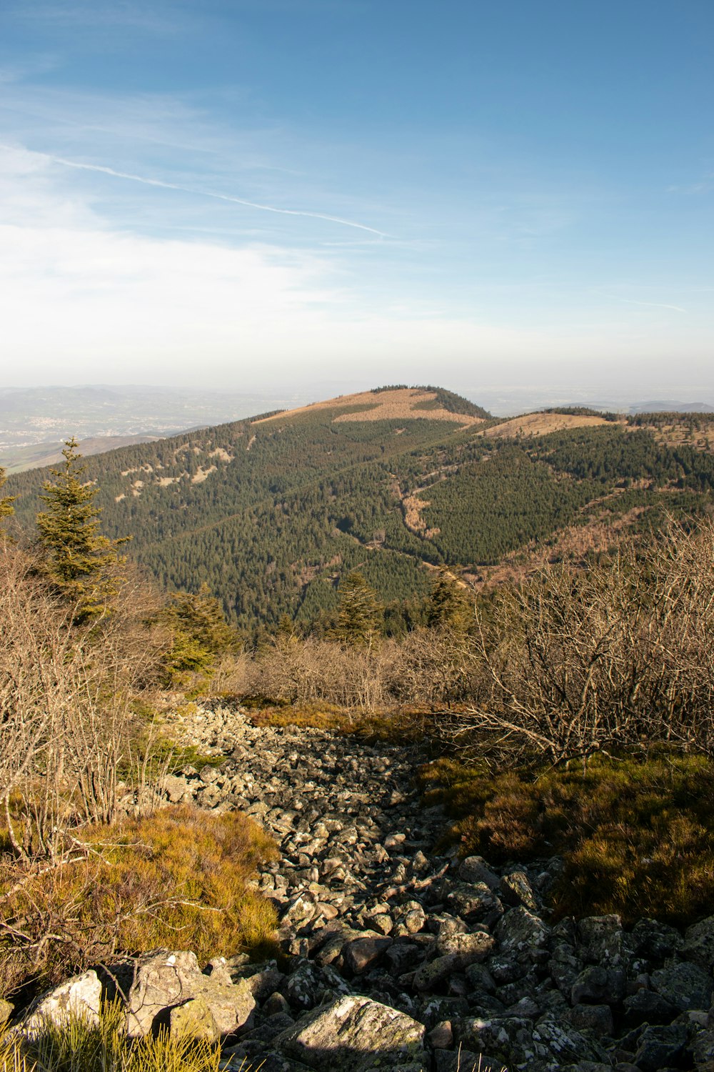 green and brown mountain under blue sky during daytime