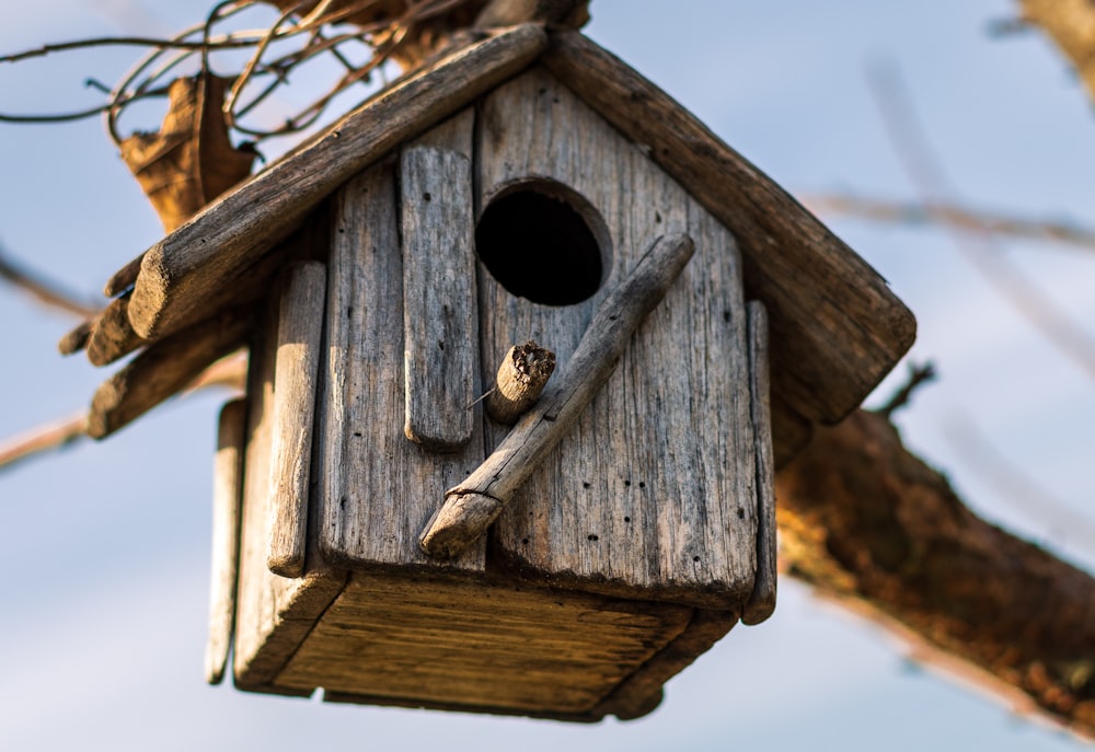 brown wooden bird house on tree branch