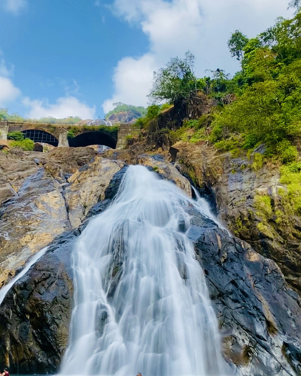 waterfalls near green trees under blue sky during daytime