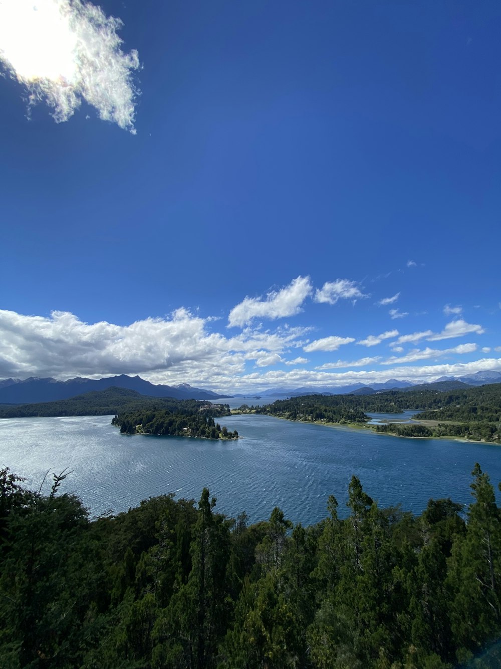 green trees near body of water under blue sky during daytime