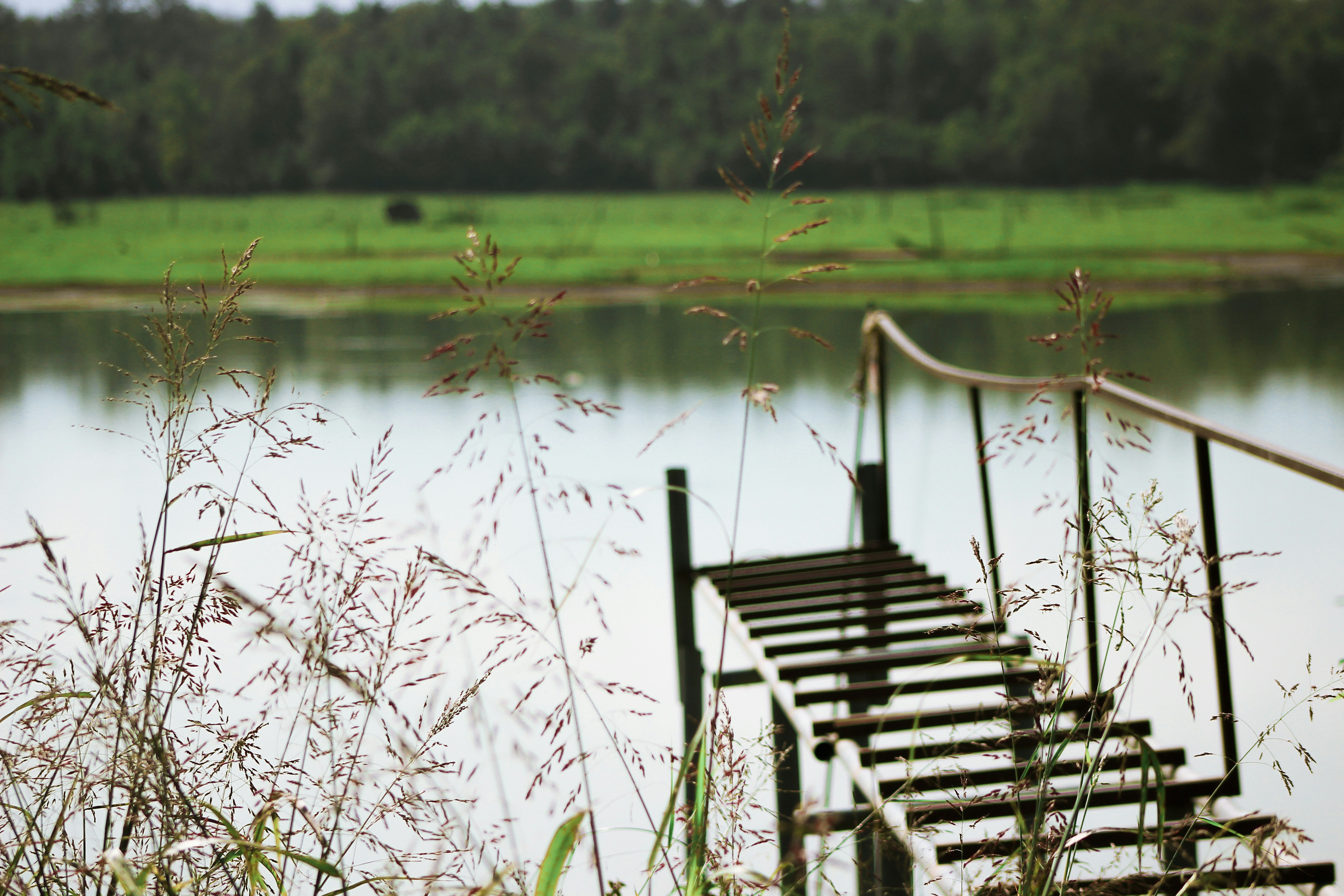 brown wooden dock on lake during daytime