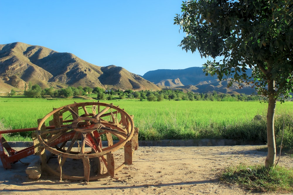roda de madeira marrom na areia marrom perto do campo de grama verde durante o dia