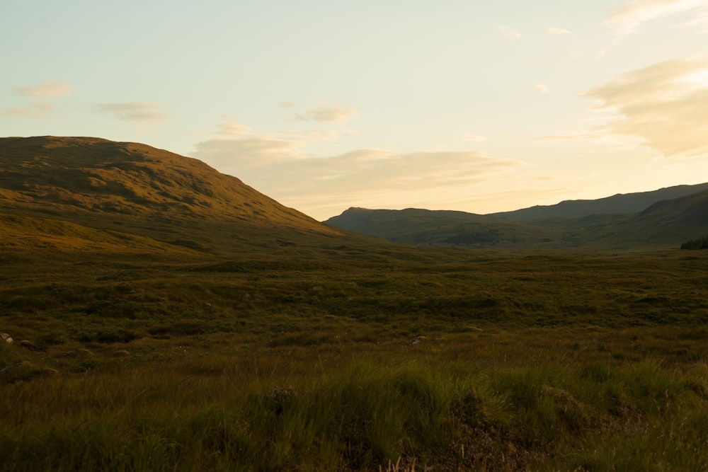 a grassy field with mountains in the background