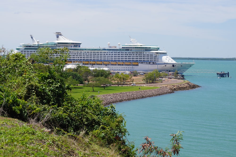 navio de cruzeiro branco no mar durante o dia