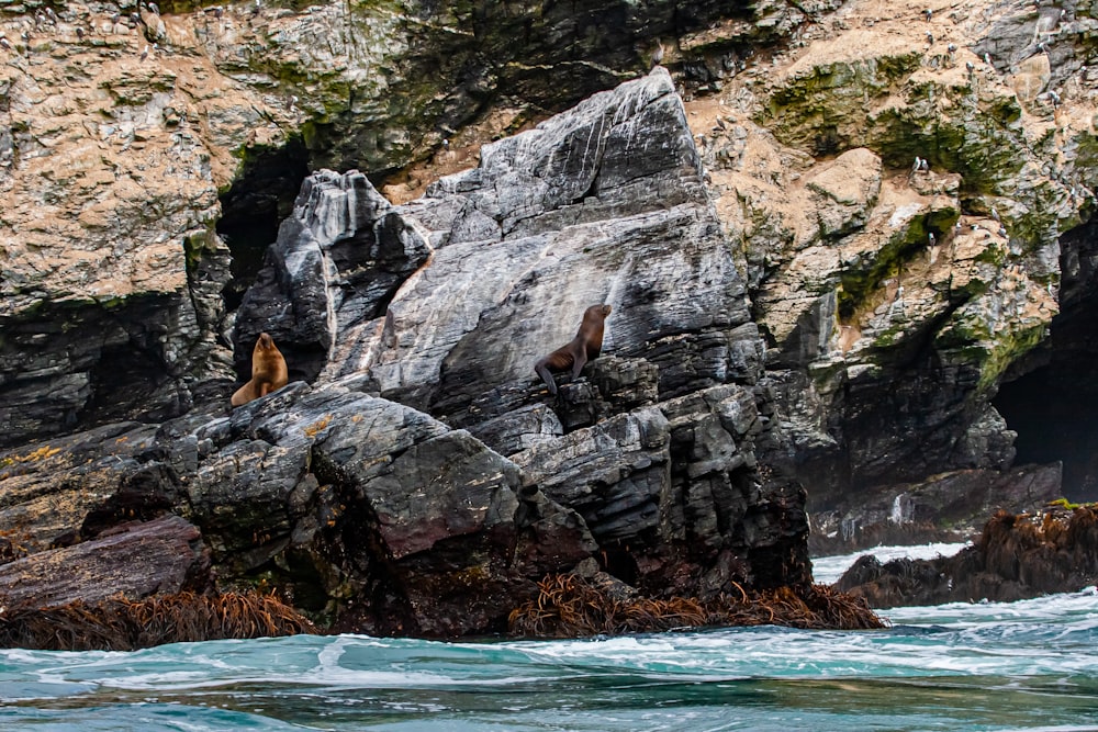 brown rock formation beside body of water during daytime