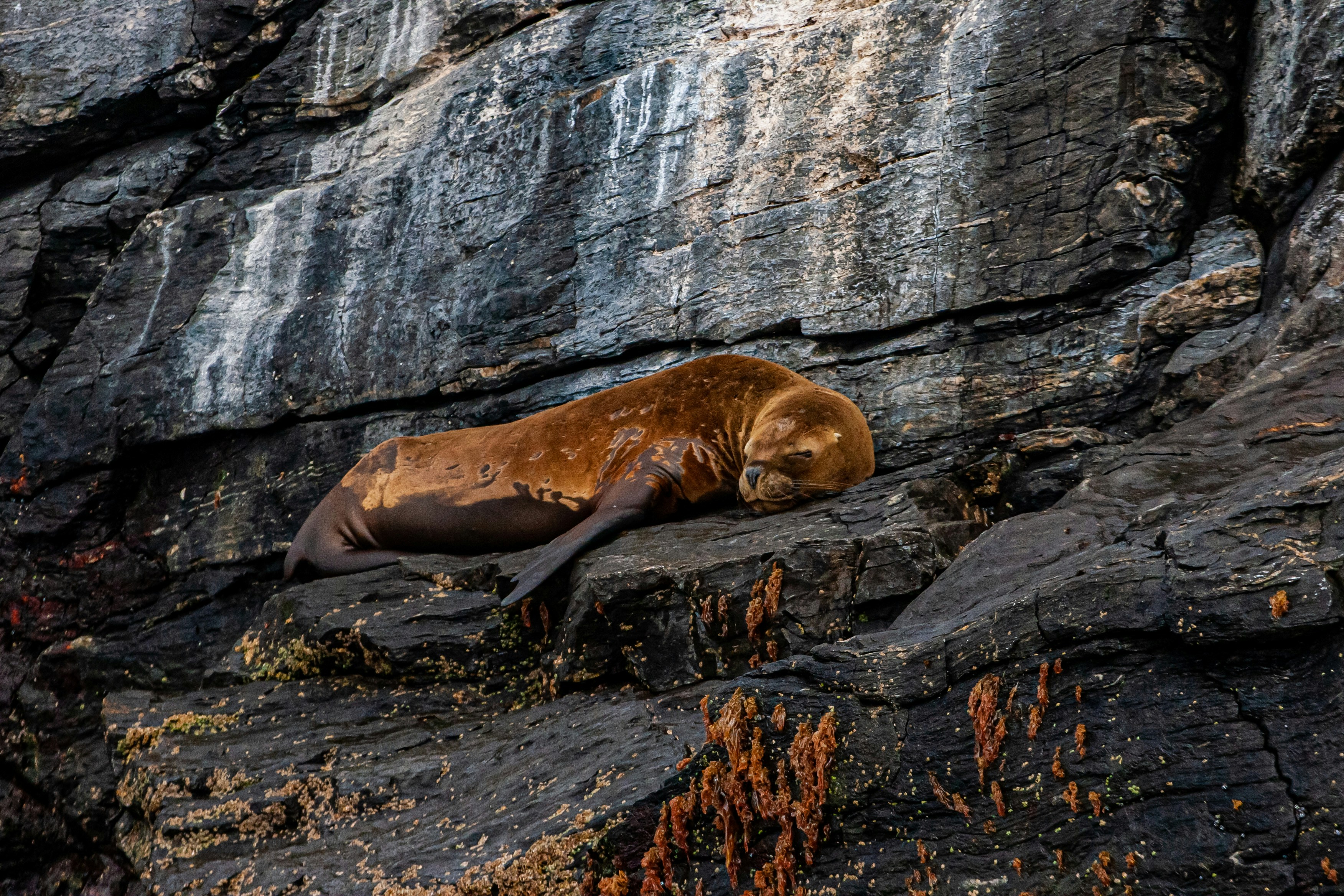 Photo by amilcarnadal