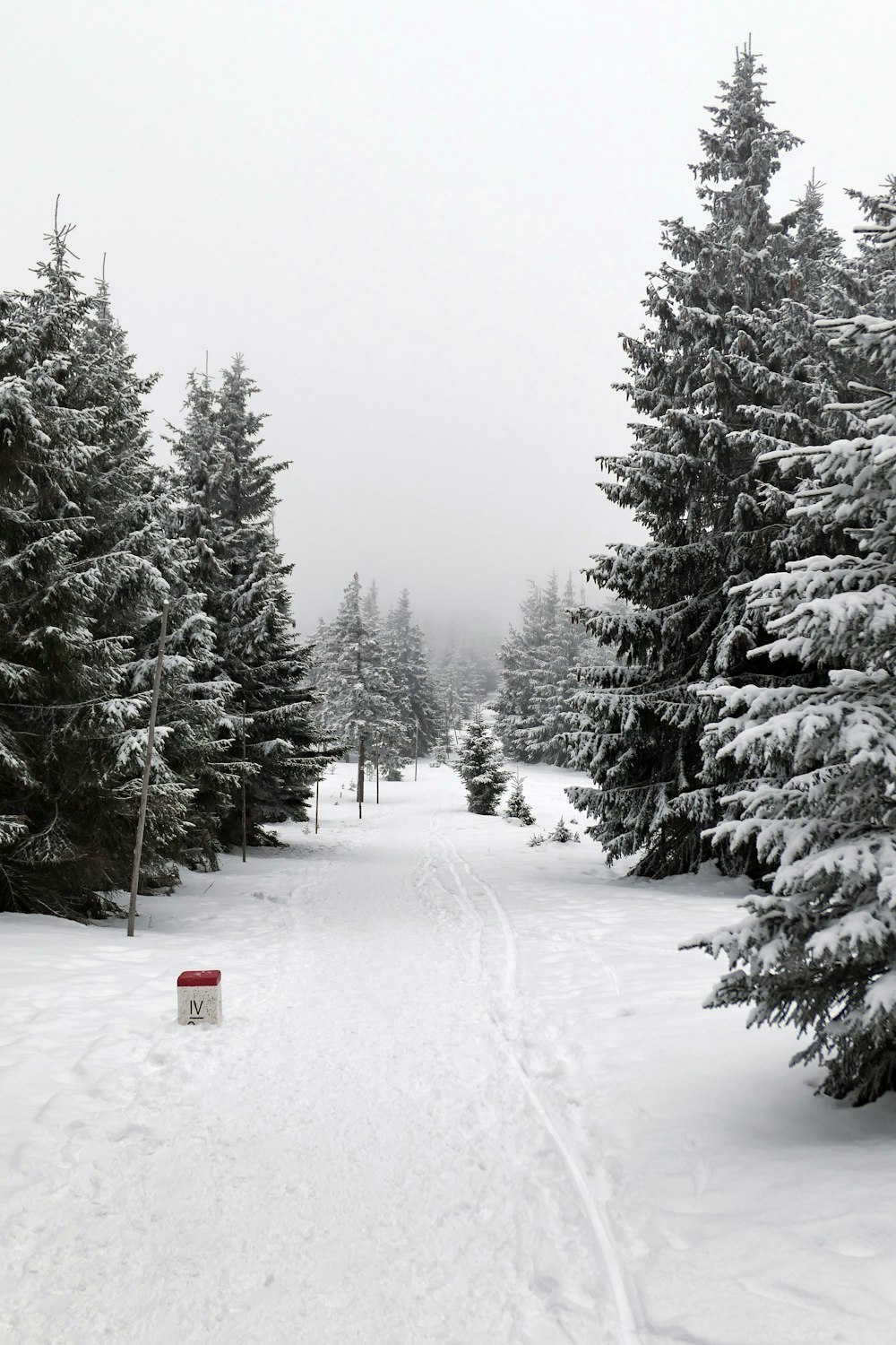 red and white house surrounded by trees covered with snow