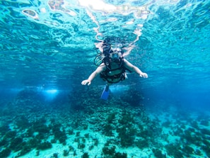 A person is scuba diving in clear blue water, surrounded by vibrant coral and marine life on the ocean floor. Sunlight reflects off the surface, creating shimmering patterns. The diver is equipped with a scuba mask, air tank, and fins.