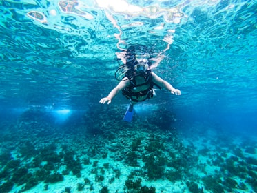 A person is scuba diving in clear blue water, surrounded by vibrant coral and marine life on the ocean floor. Sunlight reflects off the surface, creating shimmering patterns. The diver is equipped with a scuba mask, air tank, and fins.