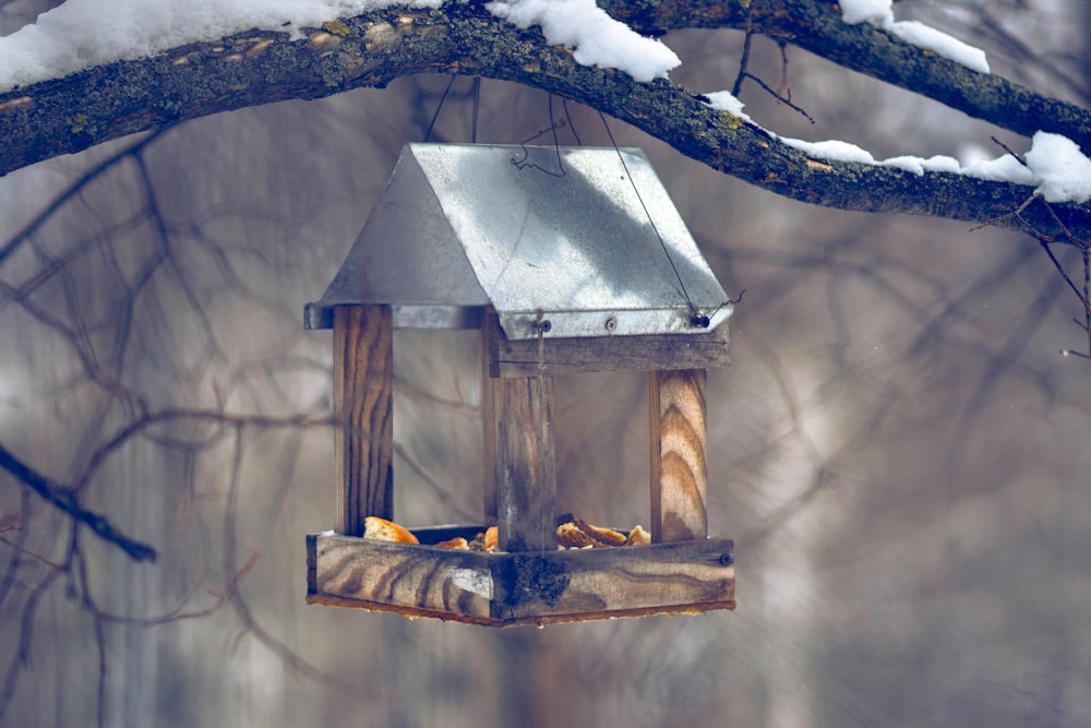 brown wooden bird house on brown tree branch