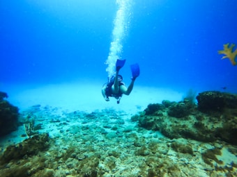A scuba diver is exploring an underwater scene filled with coral and rocky formations. The water is clear, allowing a view of the seabed covered with marine life. Bubbles rise towards the surface as the diver moves, with flippers visible in a vibrant blue color.