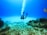 A scuba diver is exploring an underwater scene filled with coral and rocky formations. The water is clear, allowing a view of the seabed covered with marine life. Bubbles rise towards the surface as the diver moves, with flippers visible in a vibrant blue color.