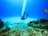 A scuba diver is exploring an underwater scene filled with coral and rocky formations. The water is clear, allowing a view of the seabed covered with marine life. Bubbles rise towards the surface as the diver moves, with flippers visible in a vibrant blue color.