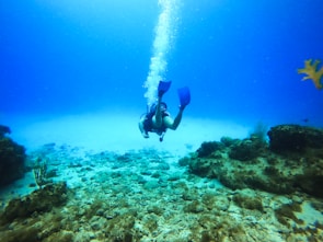 A scuba diver is exploring an underwater scene filled with coral and rocky formations. The water is clear, allowing a view of the seabed covered with marine life. Bubbles rise towards the surface as the diver moves, with flippers visible in a vibrant blue color.