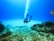 A scuba diver is exploring an underwater scene filled with coral and rocky formations. The water is clear, allowing a view of the seabed covered with marine life. Bubbles rise towards the surface as the diver moves, with flippers visible in a vibrant blue color.