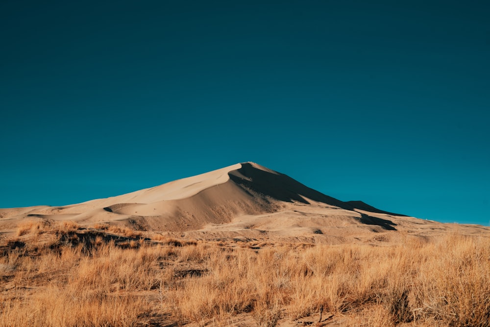 brown field under blue sky during daytime