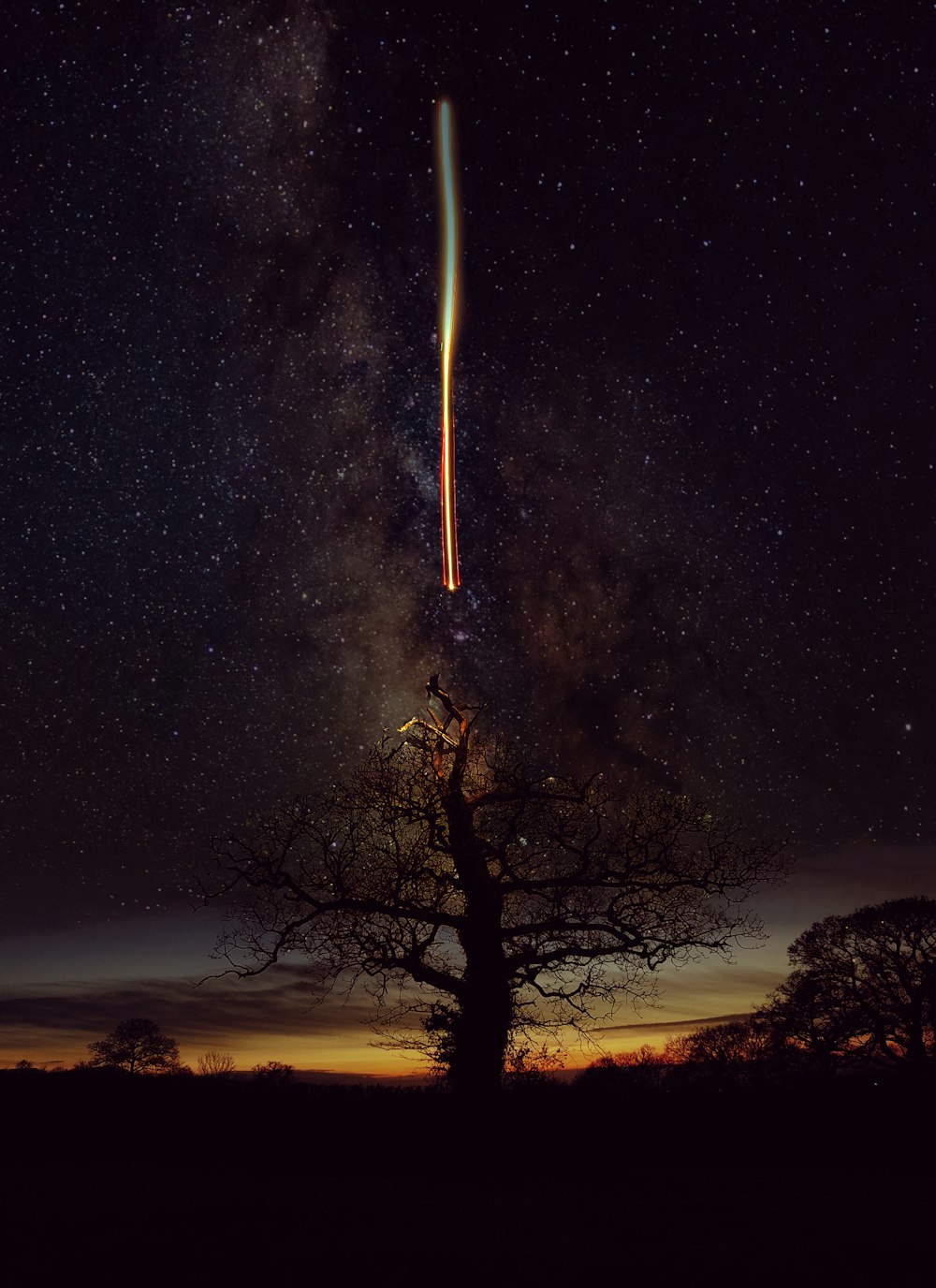 bare tree under starry night