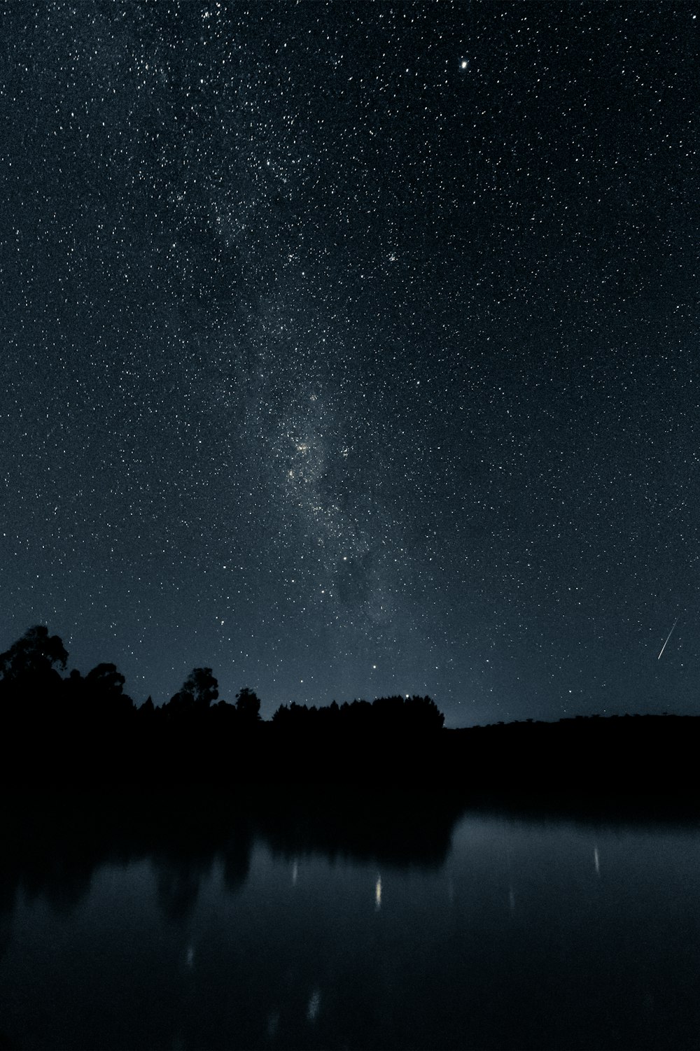 silhouette of trees near body of water under starry night