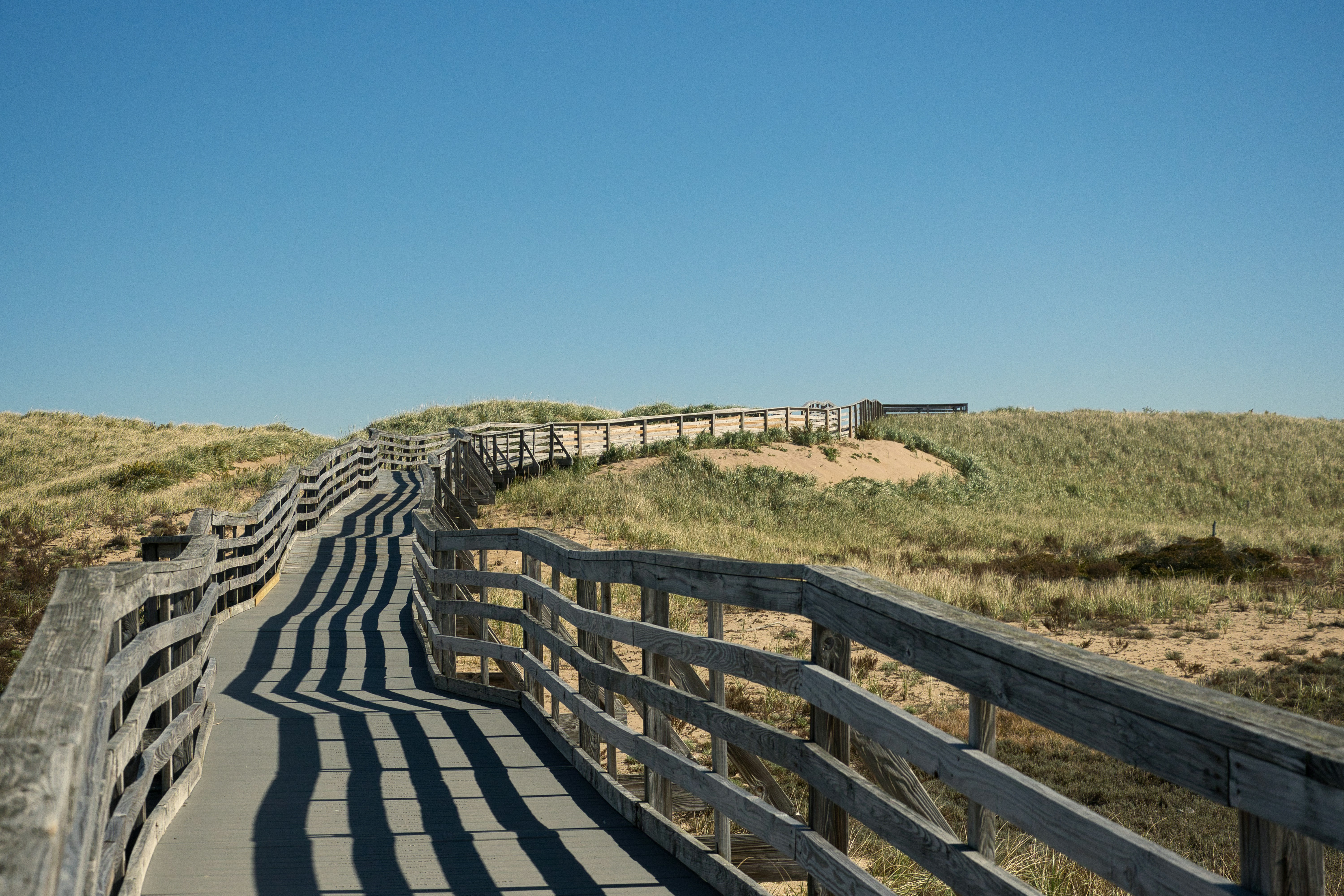 Photo by photosbymarkv