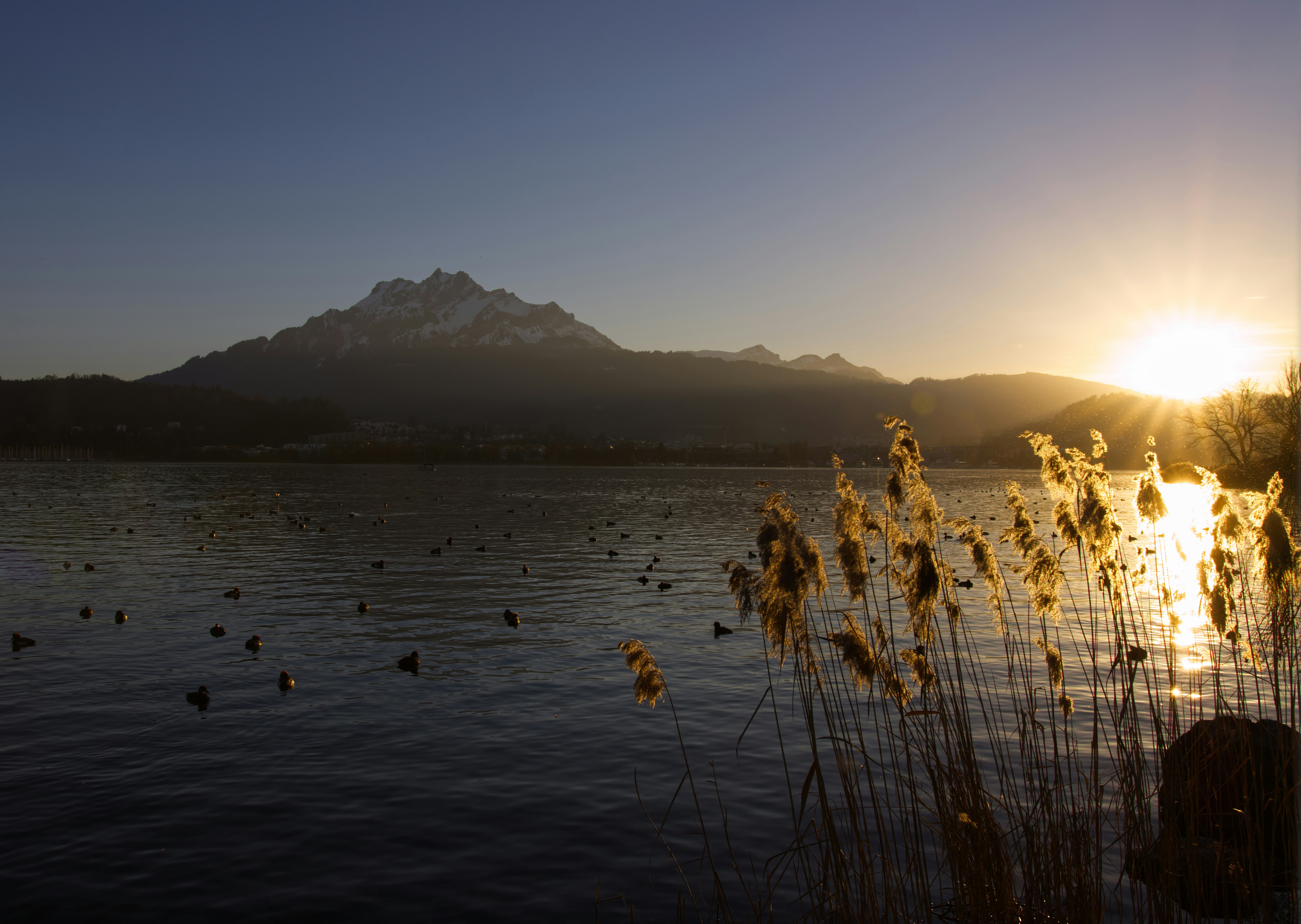 Photo by photasticlab