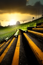 green grass field under white sky during daytime