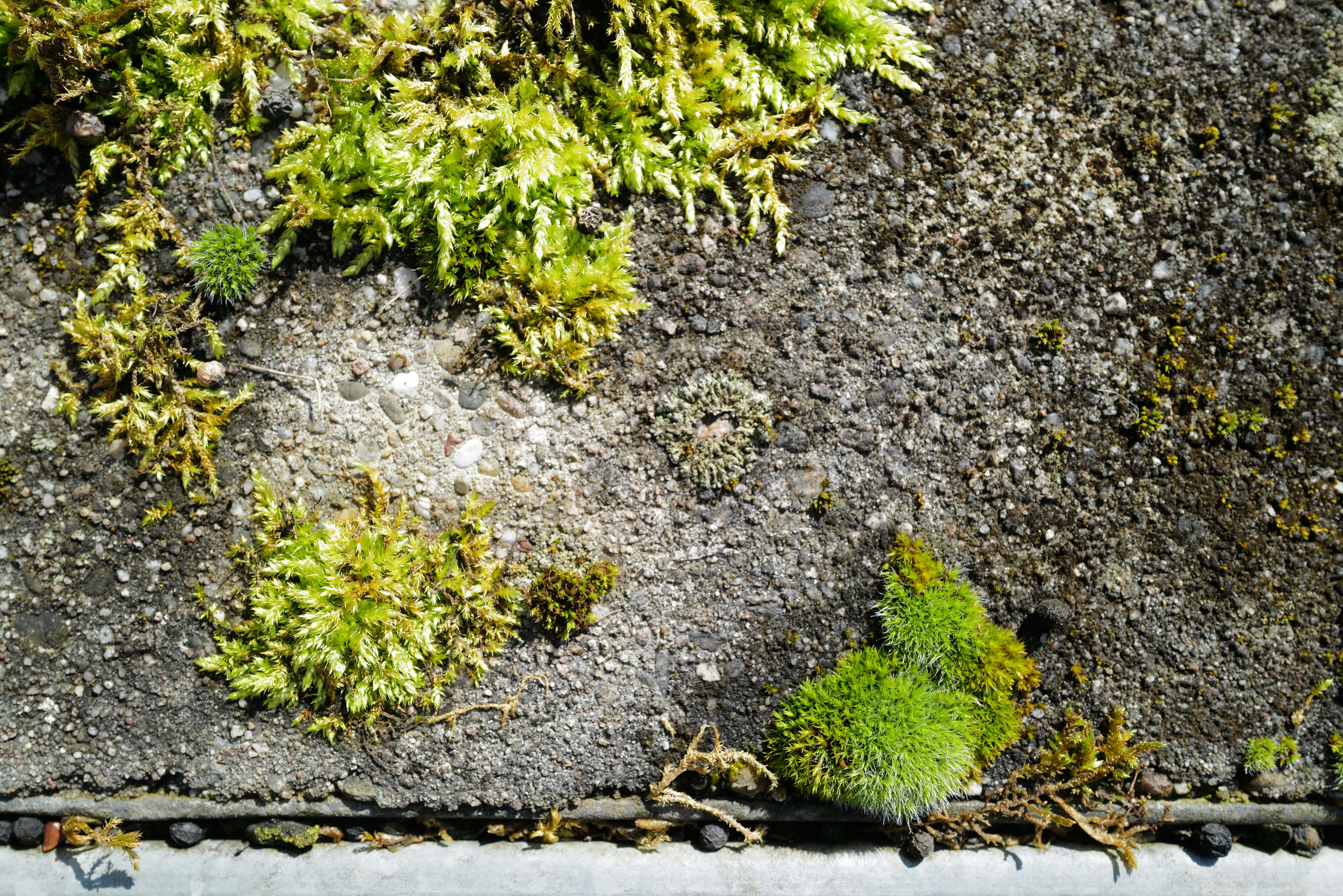 Photo by georgeiermann