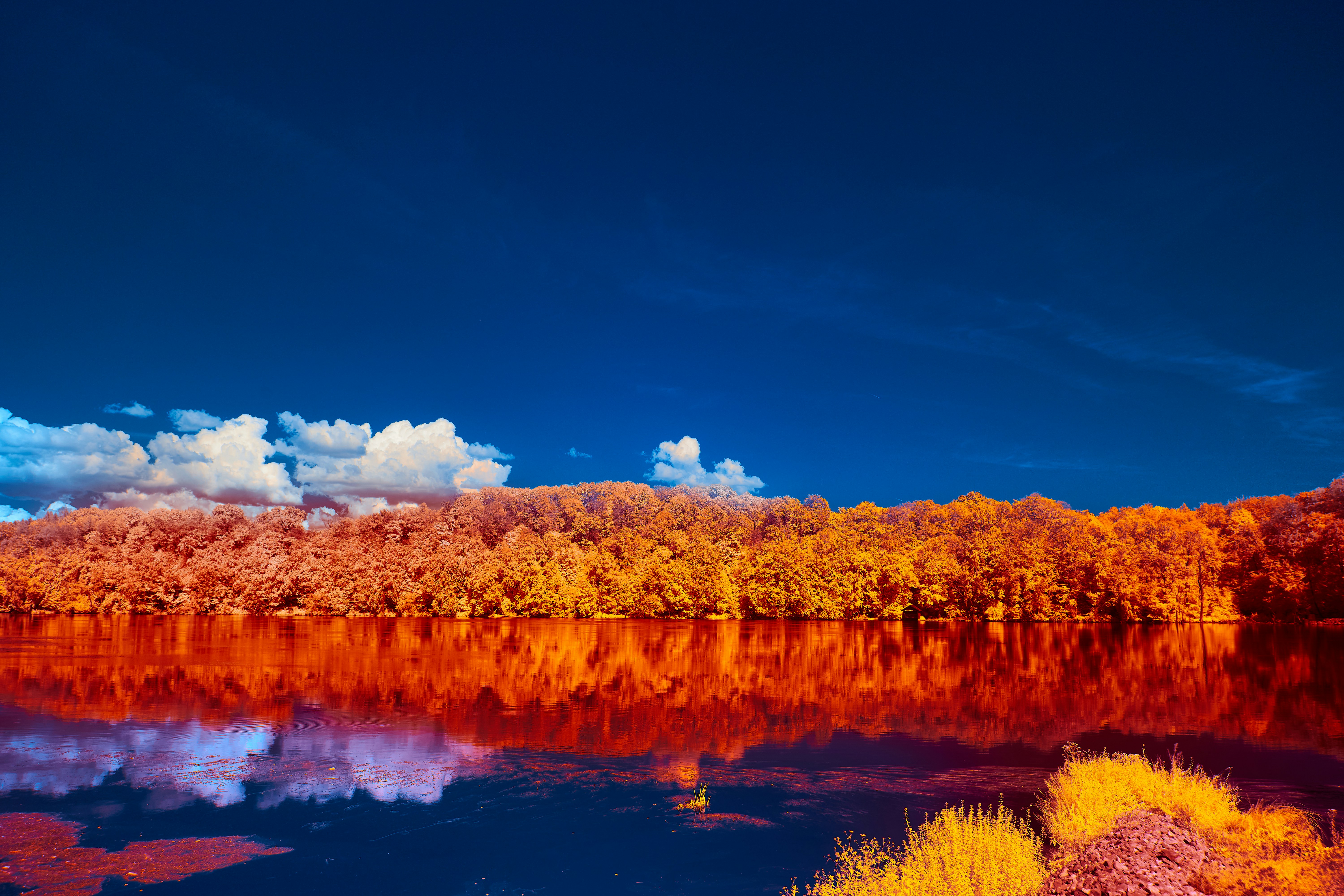 Photo by wolfgang_hasselmann