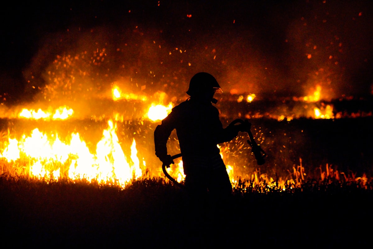 Fighting Fire With Fire