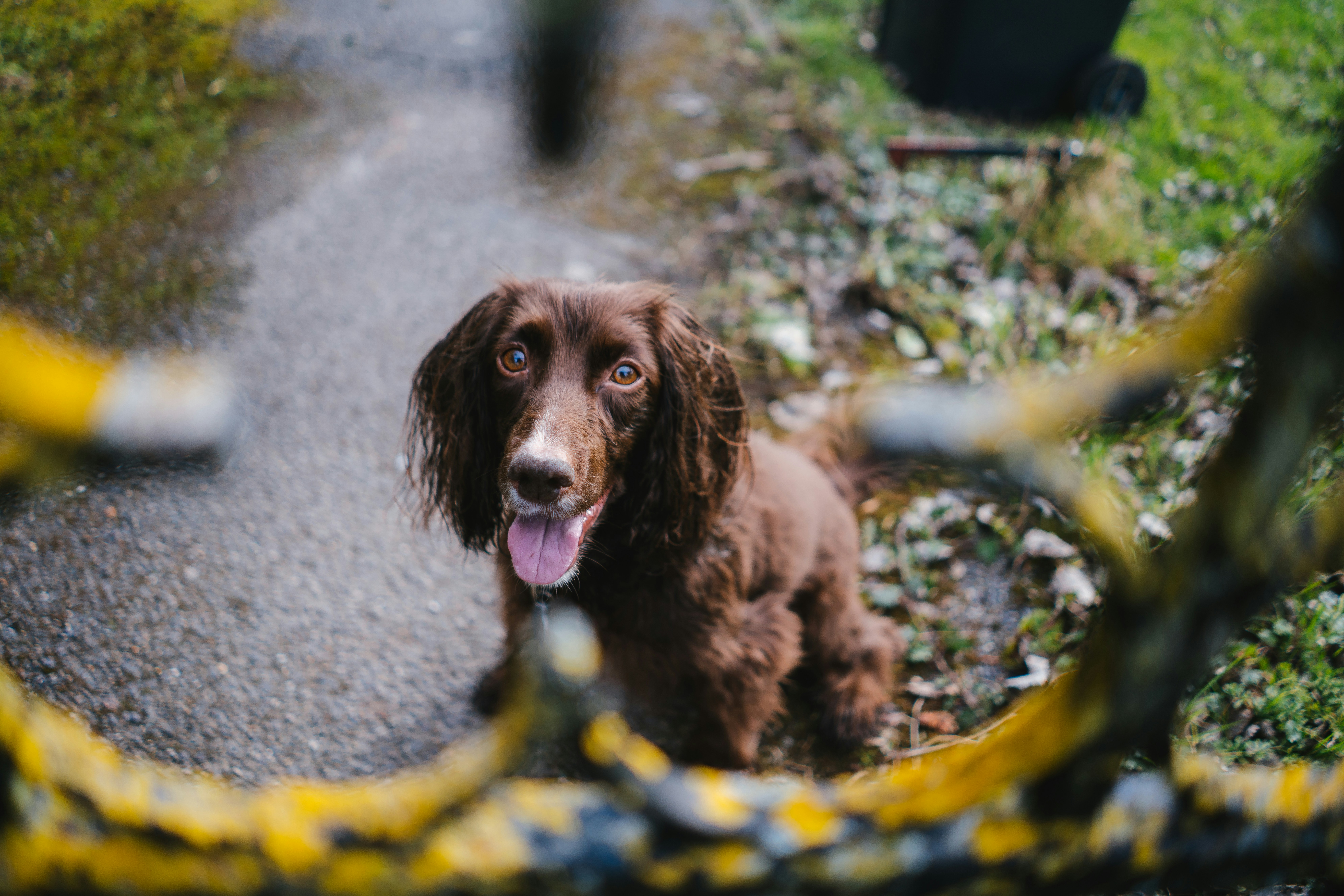 Photo by philhearing