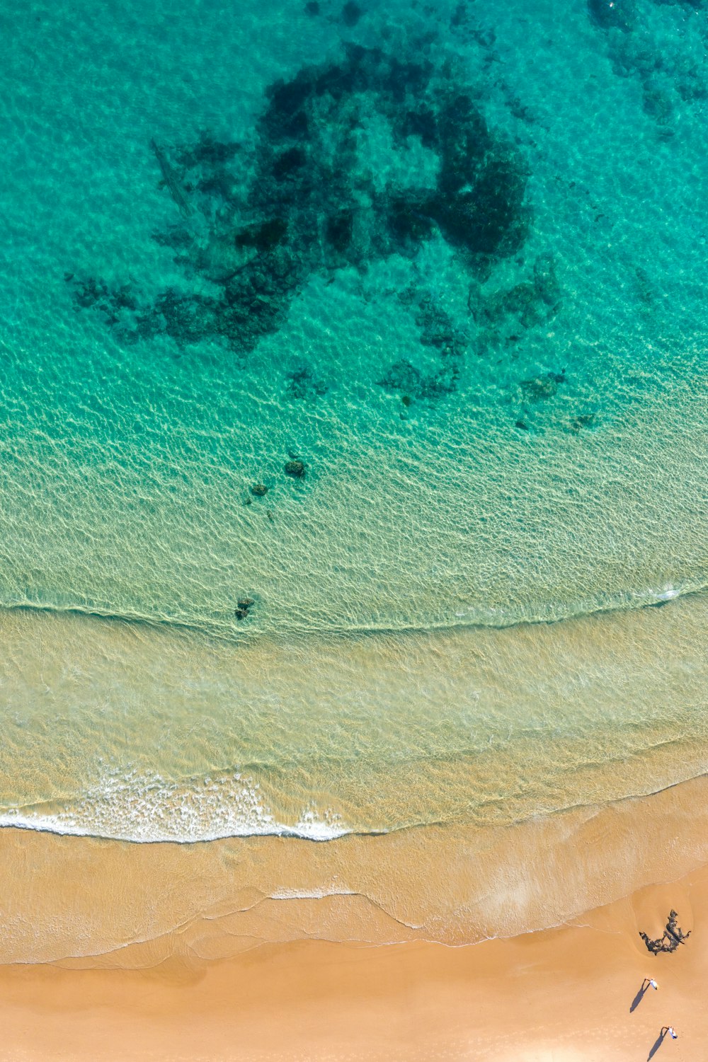 aerial view of beach during daytime