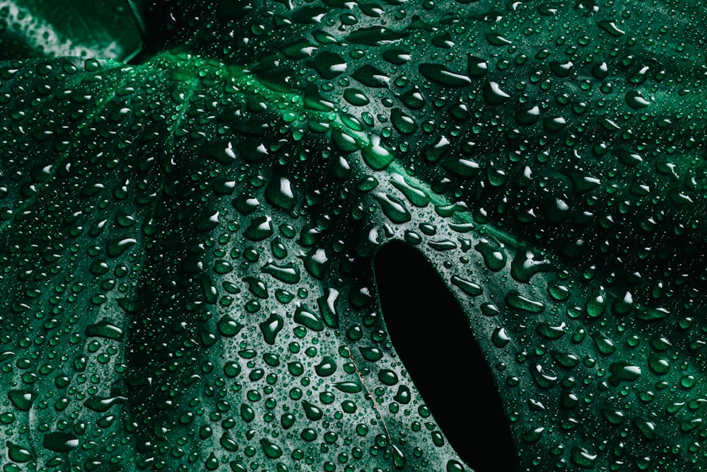 緑色のガラスに水滴