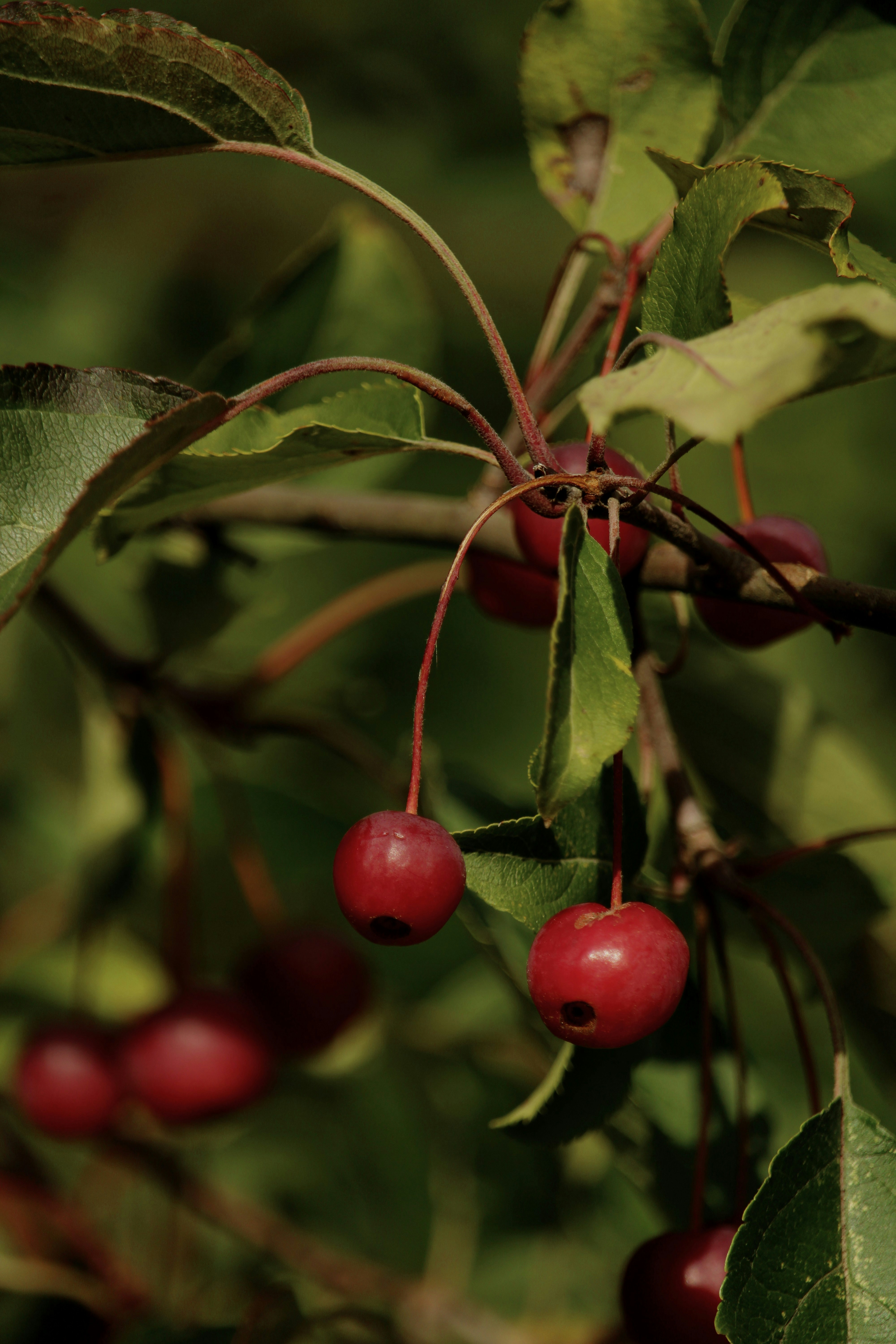 Photo by every_small_step_