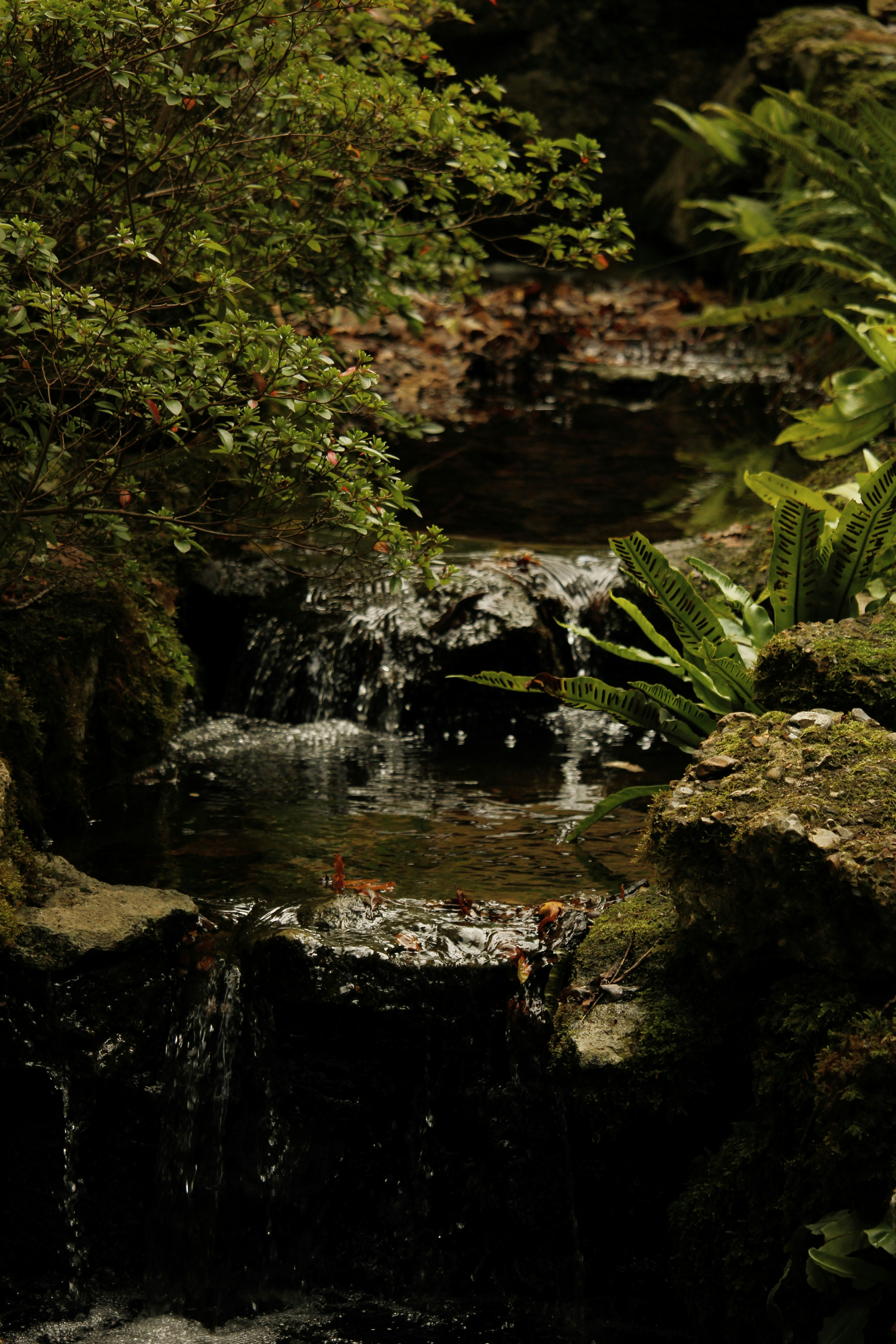 Photo by every_small_step_