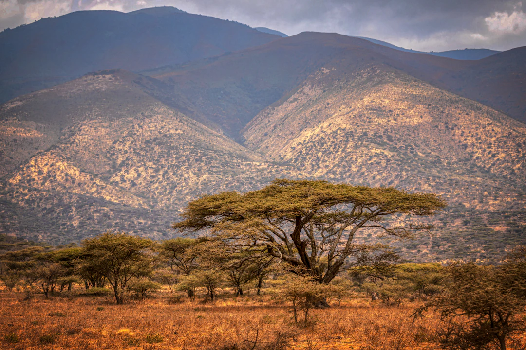 Tanzania