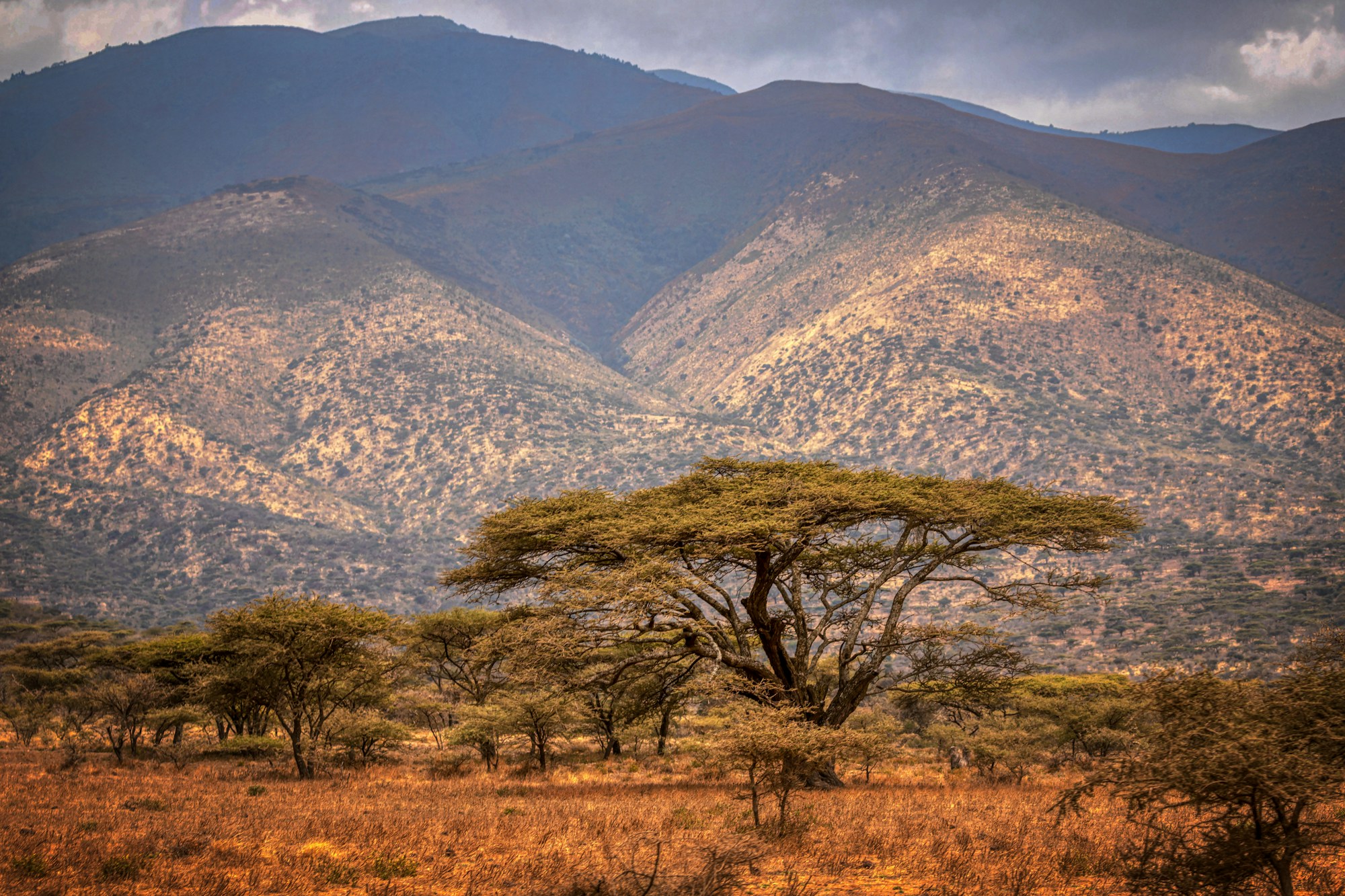 Tanzania: A Serene African Journey