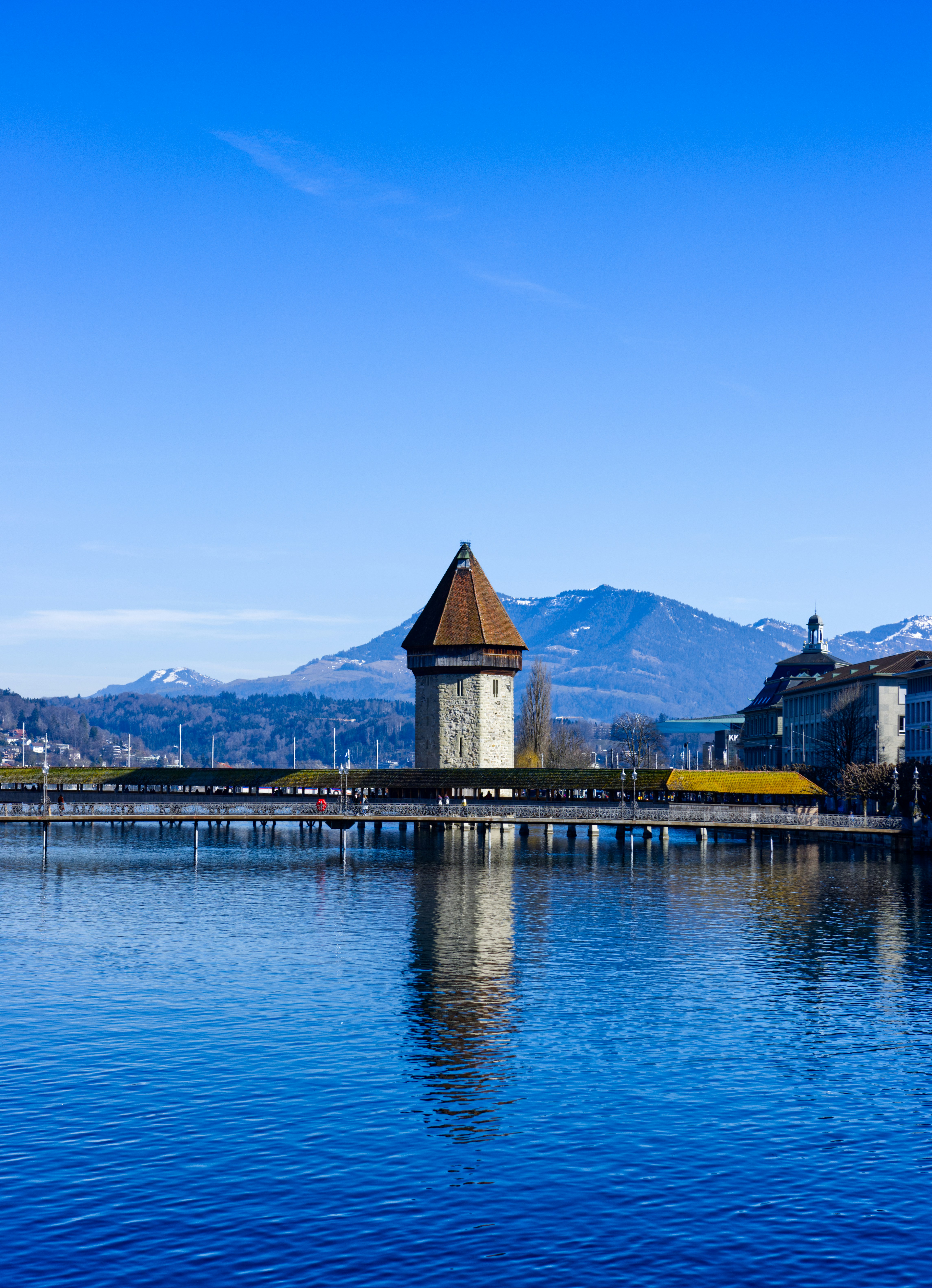 Photo by photasticlab