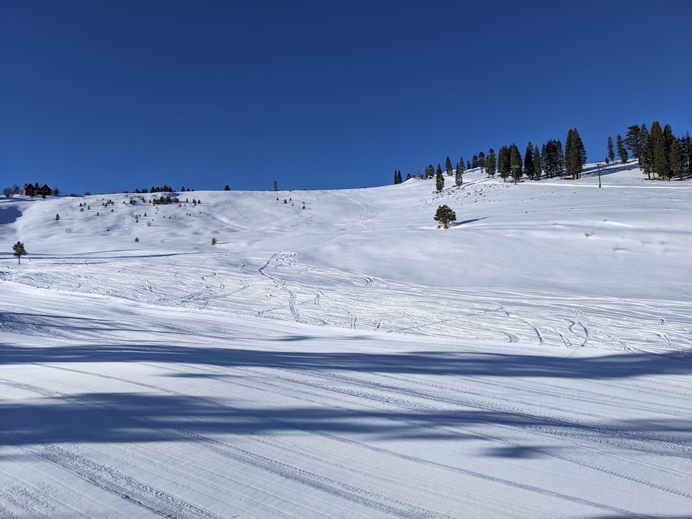 people riding ski lift on snow covered ground during daytime