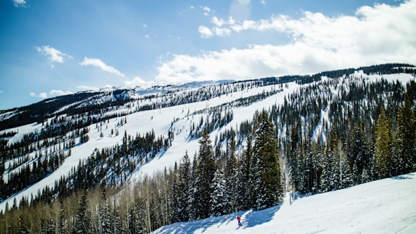 Exploring Aspen: Local Culture and Traditions