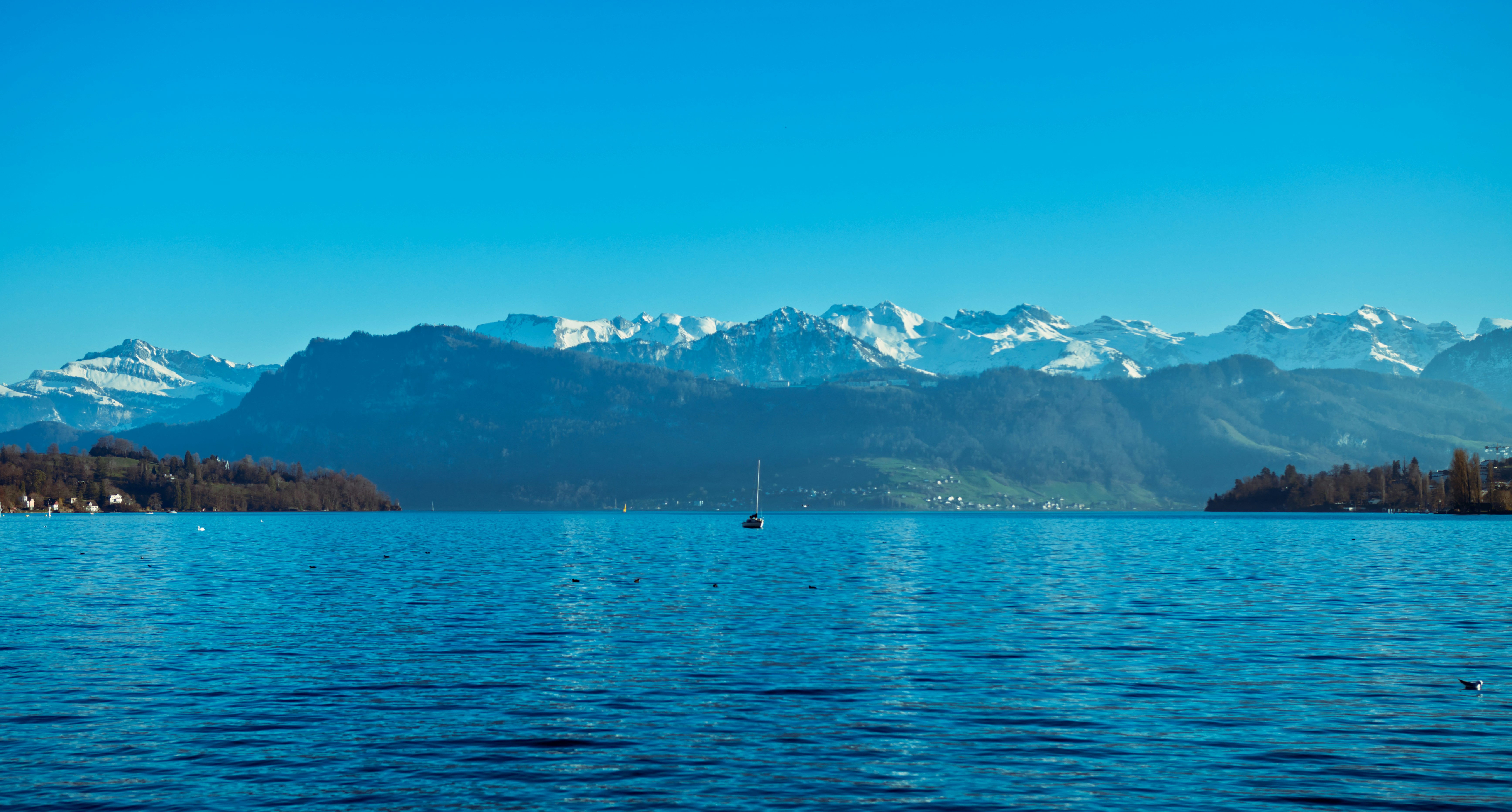 Photo by photasticlab