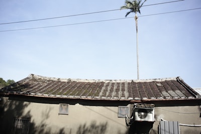 An older building with a tiled roof showing some moss growth. In the background, a tall palm tree rises against a clear blue sky, and power lines are visible overhead. An air conditioning unit is attached to the side of the building.