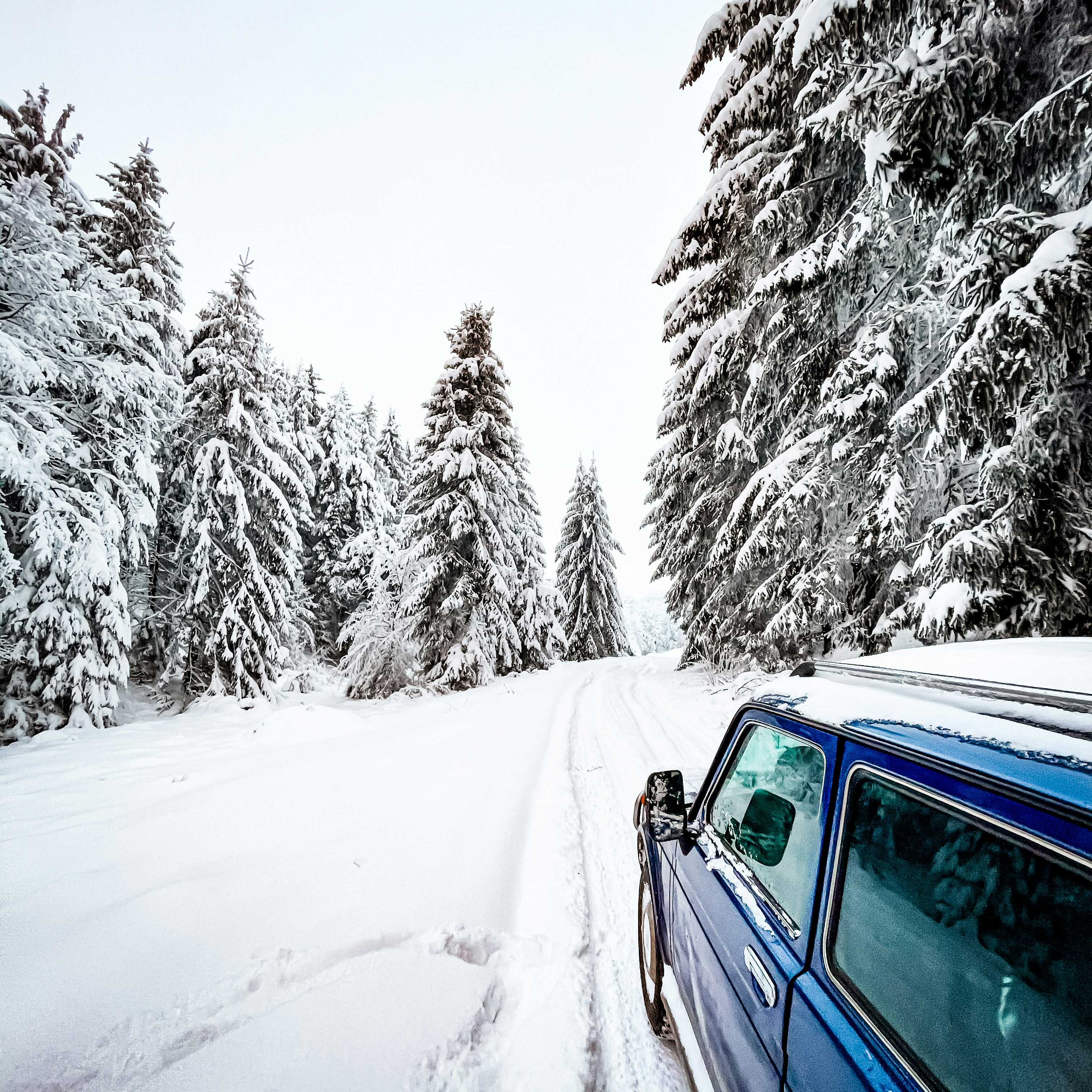 Photo by attilajanosi