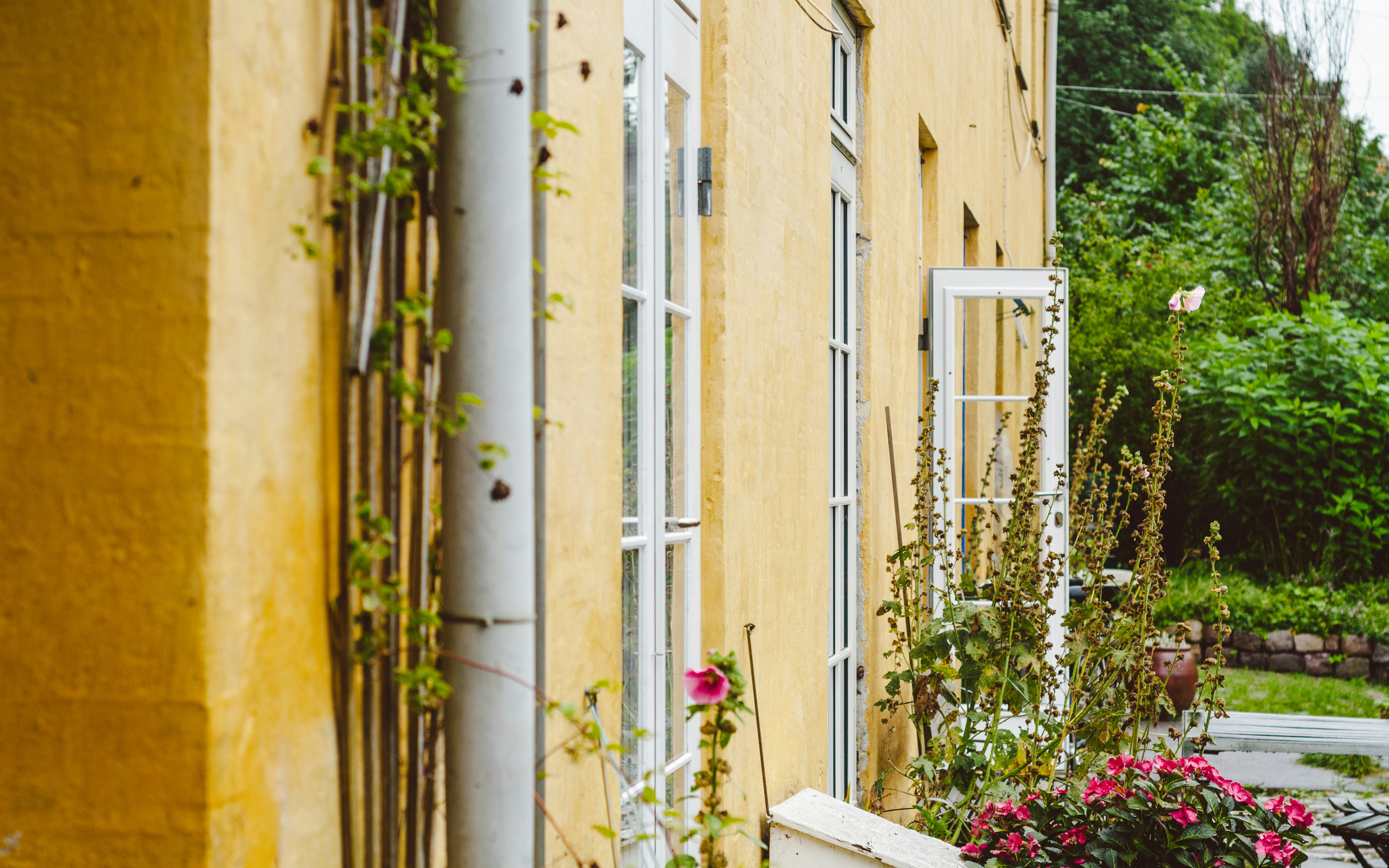 Photo by shanerounce