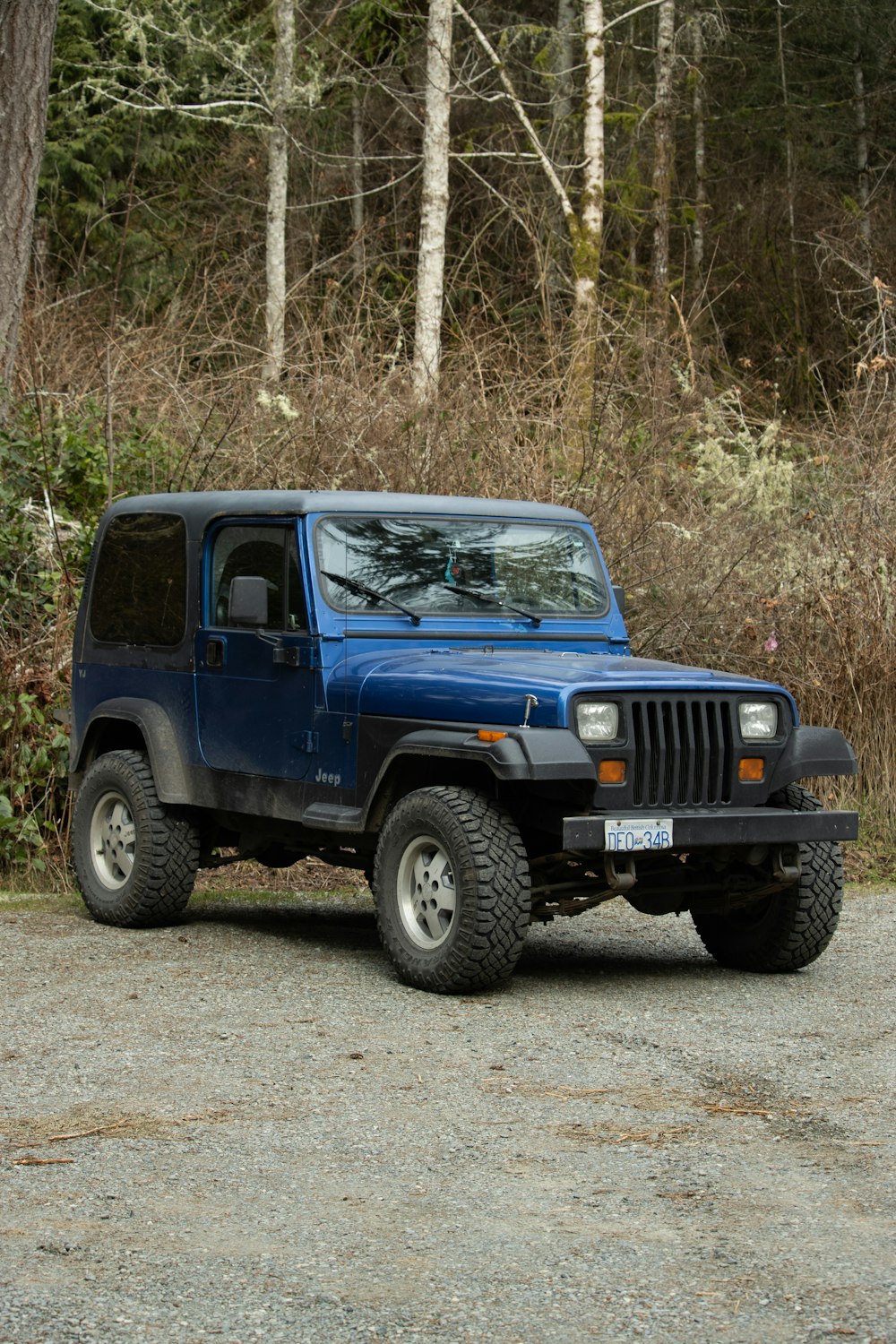 blue suv parked on dirt road