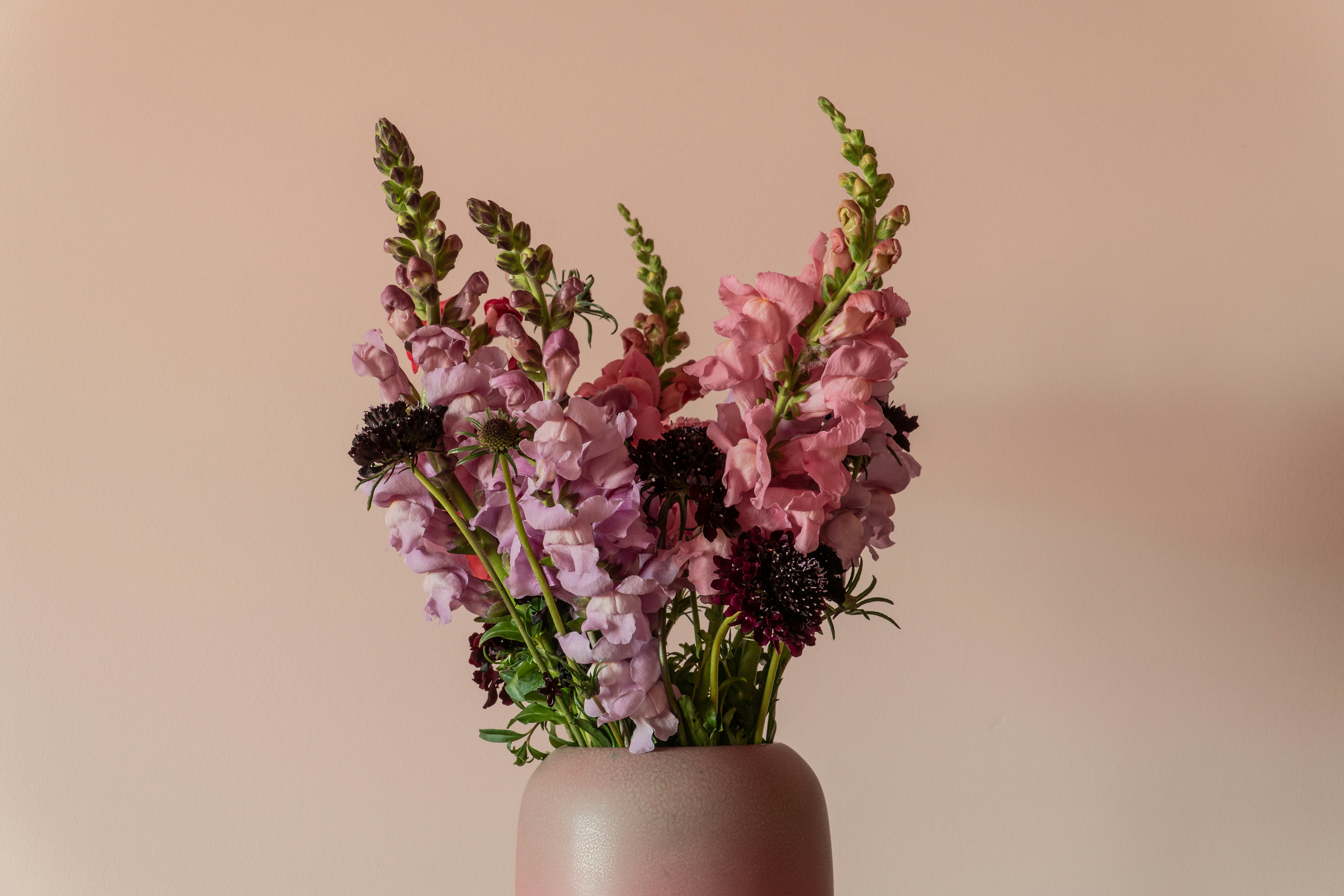 Photo by earl_plannerzone