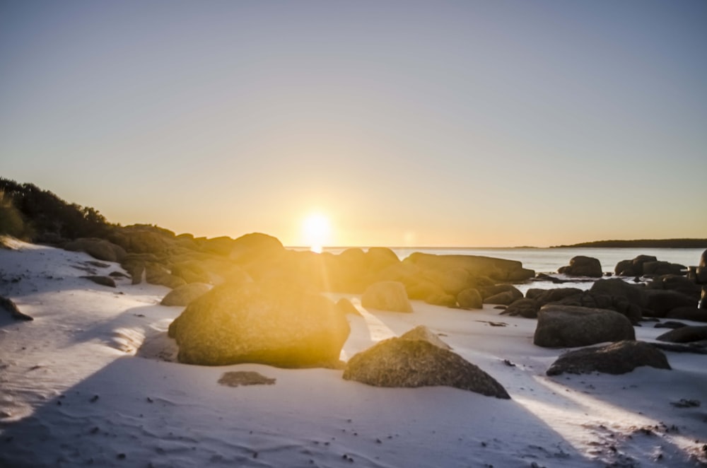 rocky shore with rocks during sunrise