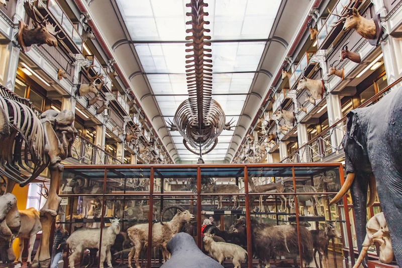 Best Rainy Day Activities in Dublin When the Weather Turns