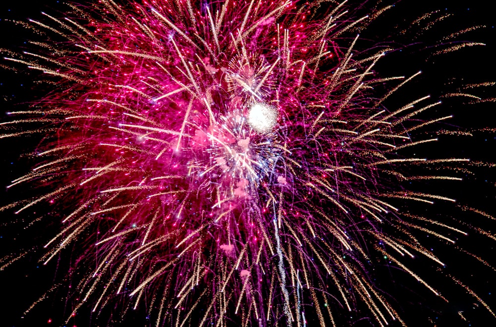 red and white fireworks display
