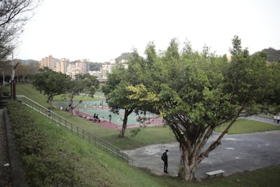 A serene park setting with pickleball courts and trees.