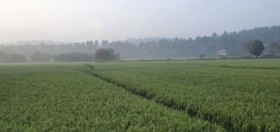 Traditional houses and lush greenery in Mundathicode village.